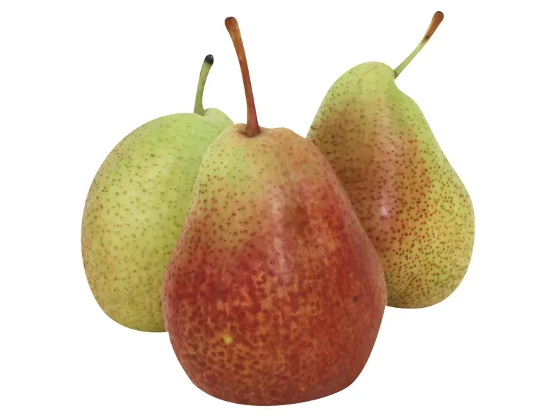 GTIN-0194735095926-02