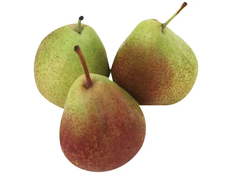 GTIN-0194735095926-03