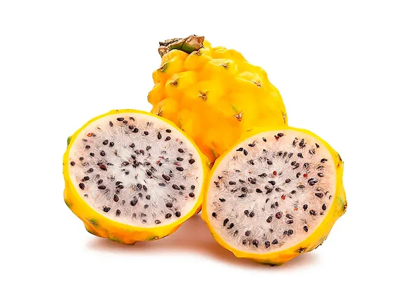 GTIN-2528330000005-01