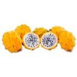 GTIN-2528330000005-02