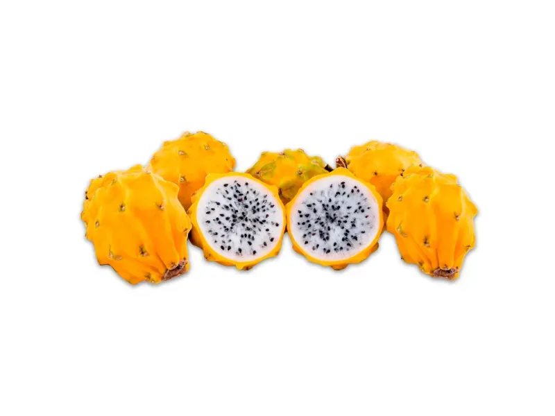 GTIN-2528330000005-02