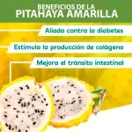 GTIN-2528330000005-03