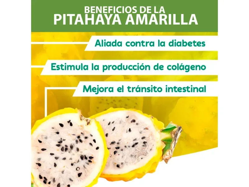 GTIN-2528330000005-03