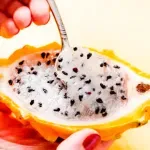 GTIN-2528330000005-04