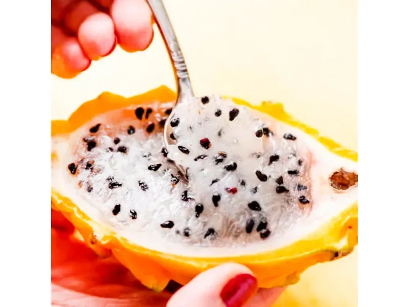 GTIN-2528330000005-04