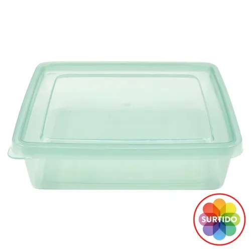 Hermeticos Plasticos Variedad Mainstays