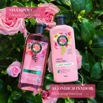 GTIN-0381519180767-09