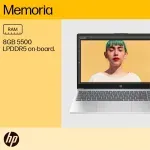 000000000075416663-UN-02