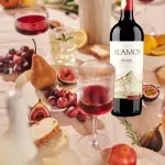 000000000070190909-UN-04