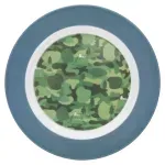 GTIN-1041838424445-04