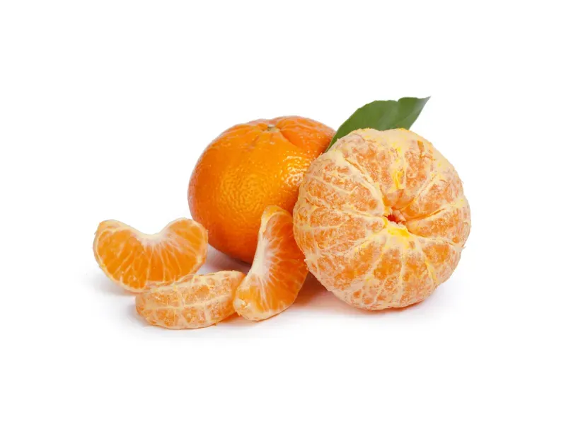 GTIN-0000000040556-01