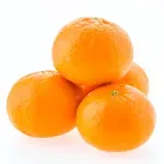 GTIN-0000000040556-02