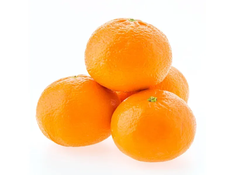 GTIN-0000000040556-02