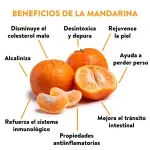 GTIN-0000000040556-03