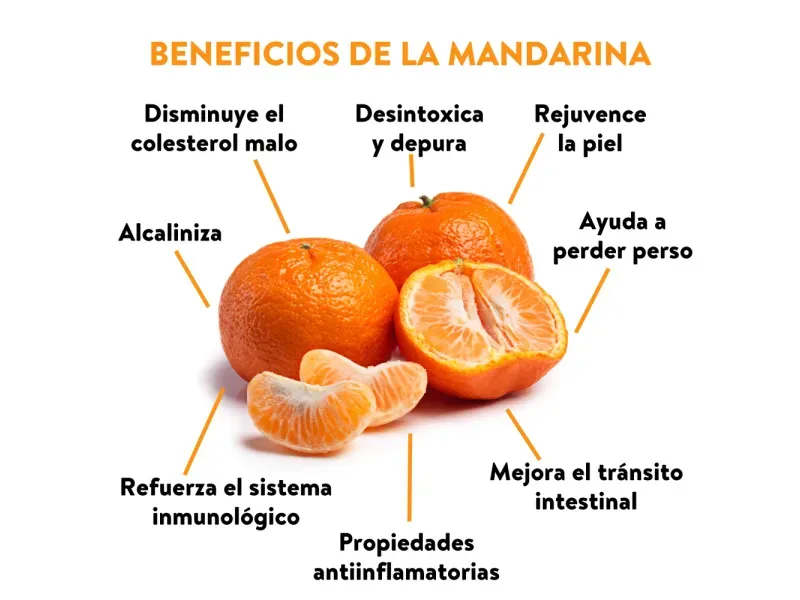 GTIN-0000000040556-03