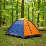 GTIN-8431564264812-02