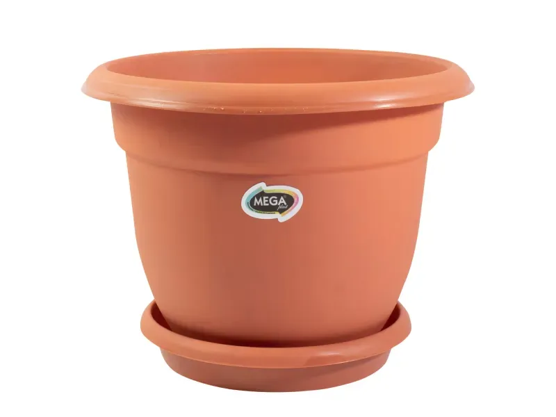 GTIN-0748850239156-01