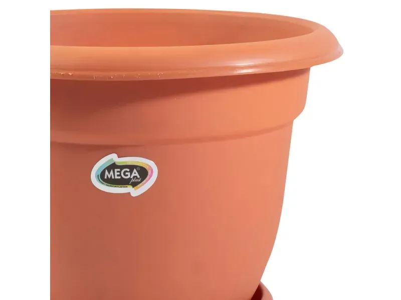 GTIN-0748850239156-02