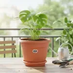 GTIN-0748850239156-04