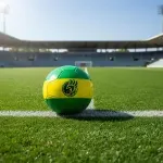 GTIN-6976782033434-08