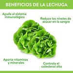 GTIN-7406131339805-04