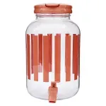 GTIN-0849434059389-01