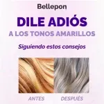 GTIN-7411002198801-05