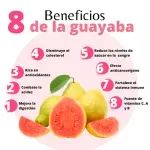 GTIN-0000000042994-03