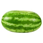 GTIN-0000000043441-02