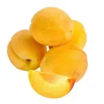 GTIN-0000000044059-01