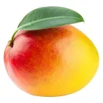 GTIN-0000000043151-02