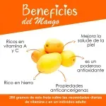 GTIN-0000000043151-03