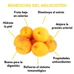 GTIN-0000000044059-03