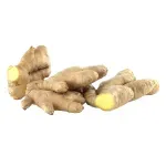 GTIN-0000000046121-02