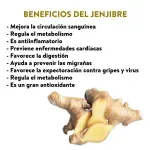 GTIN-0000000046121-03