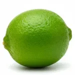 GTIN-0000000073479-02