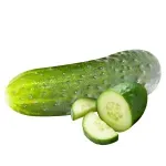 GTIN-0000000045964-01