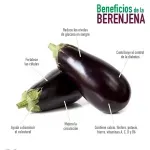 GTIN-0000000074261-03