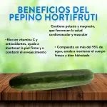 GTIN-0000000074308-03