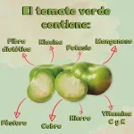 GTIN-0000000072700-03