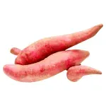 GTIN-0000000074223-02