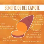 GTIN-0000000074223-03