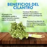 GTIN-7401103600310-03