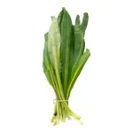 GTIN-7410062104227-02