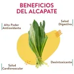 GTIN-7410062104227-03