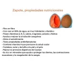 GTIN-0000000044806-03