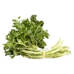 GTIN-7410062105095-01