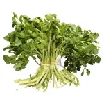 GTIN-7410062105095-02