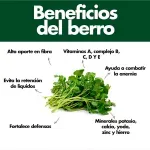 GTIN-7410062105095-03