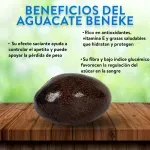 GTIN-0000000034951-03